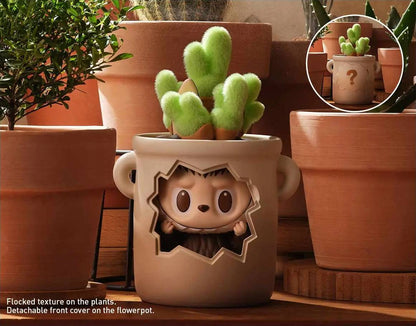 Almost Hidden - Complete Collector's Set